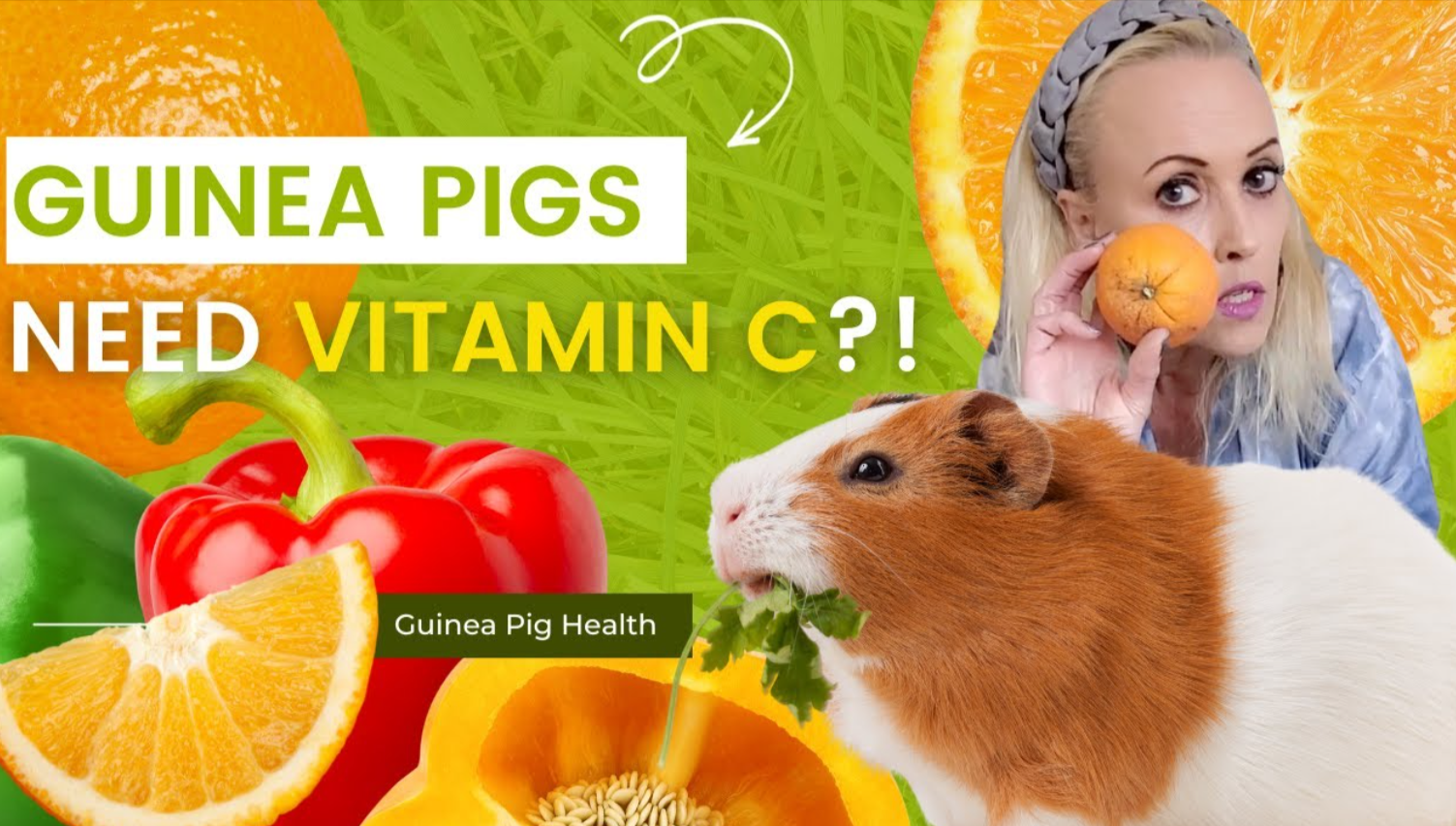 Why Guinea Pigs Need Vitamin C and How to Provide It